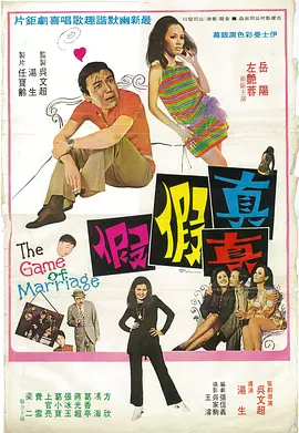 宠物女