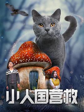 2021精品国产品免费观看