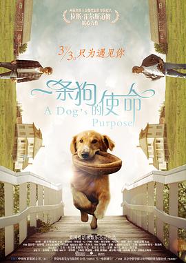 中文在线1区二区六区