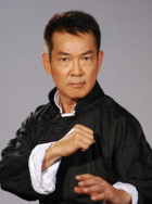 2020看剧网理论