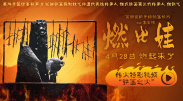 1313mm禁片视频