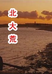 黄色小说在线读