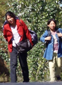 一区二区福利视频