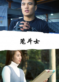 coolors官网中文版