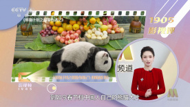 大佬的365天第四季完整在线观看
